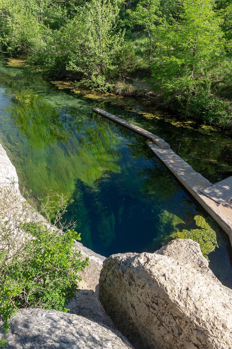 Jacob's Well & Blue Hole